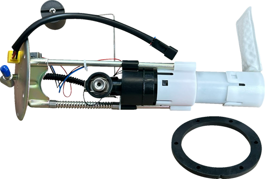 Conjunto del módulo de la bomba de combustible - Conjunto del módulo de la bomba de combustible - Polaris