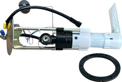 Conjunto del módulo de la bomba de combustible - Conjunto del módulo de la bomba de combustible - Polaris