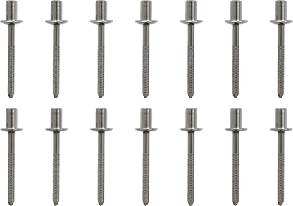 Escape Akrapovic - Muffler Packing Kit - Yamaha R6