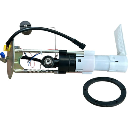 Conjunto del módulo de la bomba de combustible - Conjunto del módulo de la bomba de combustible - Polaris