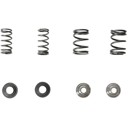 Valve Spring Kit