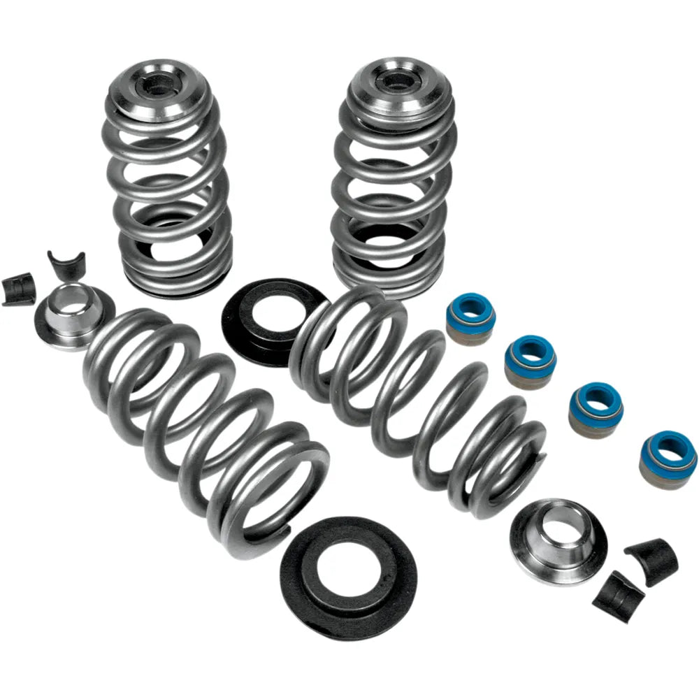 Beehive Valve Springs6323473
