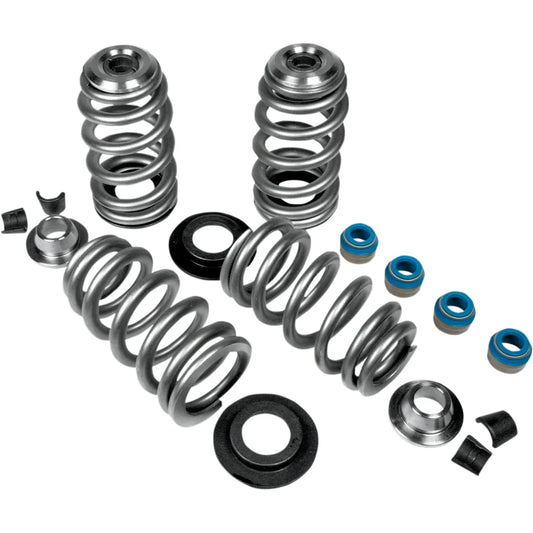 Beehive Valve Springs6323473