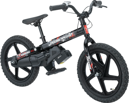 Bicicleta eléctrica de equilibrio Agroid RS-16