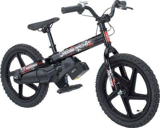 Bicicleta eléctrica de equilibrio Agroid RS-16