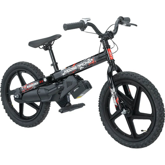 Bicicleta eléctrica de equilibrio Agroid RS-16