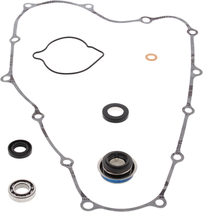 Kit de reconstrucción de bomba de agua - Kit de reconstrucción de bomba de agua - Polaris