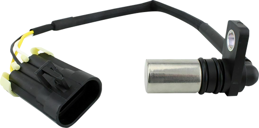 Sensor de posición del cigüeñal - Sensor de posición del cigüeñal - Polaris