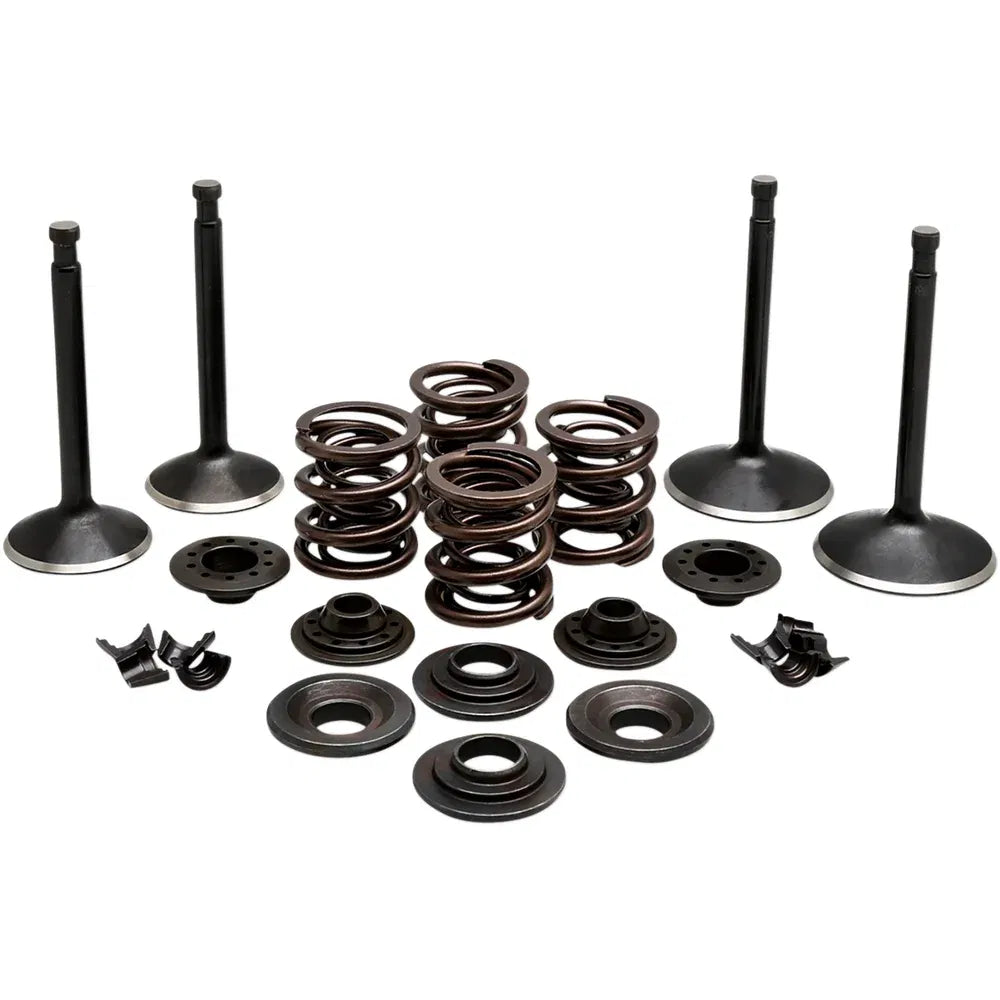 Kit de válvula del motor