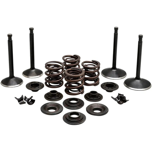 Kit de válvula del motor