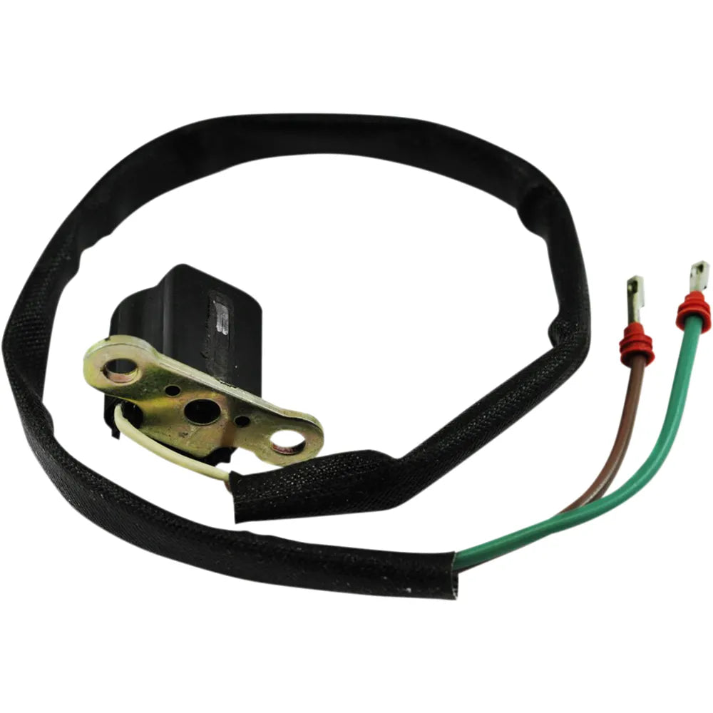 Pickup Coil Assembly - Arctic Cat