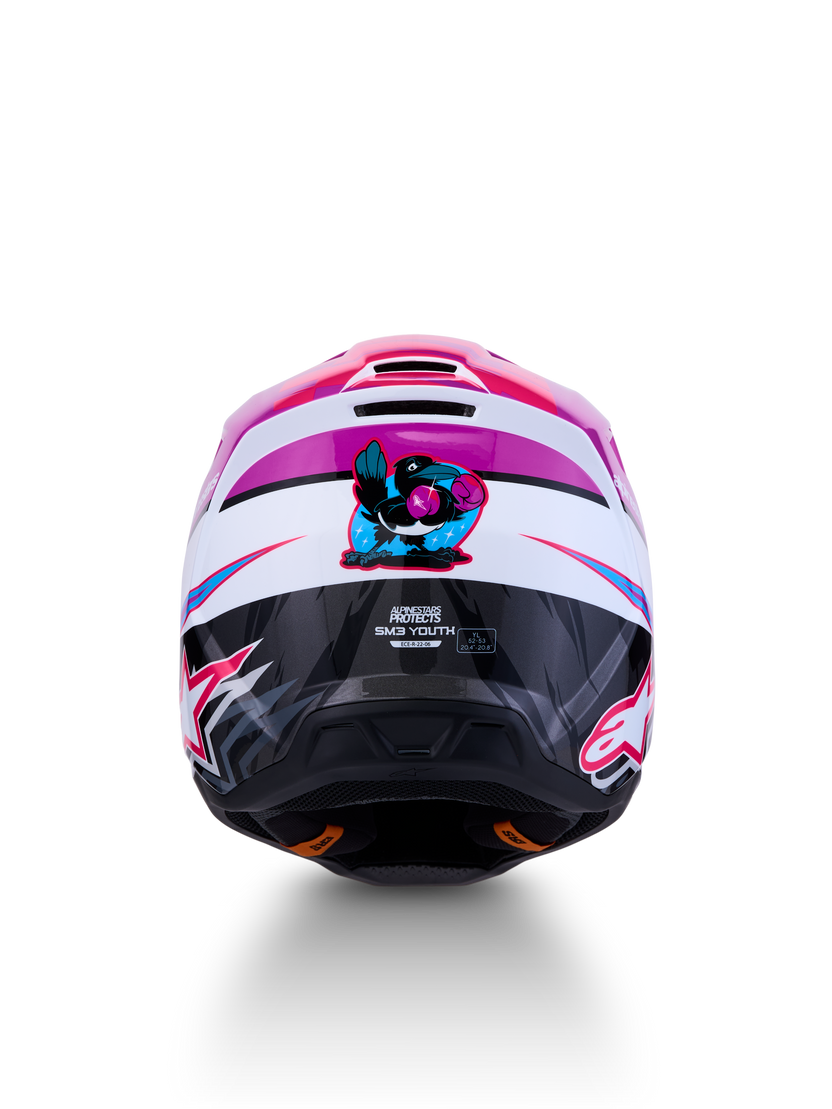 Casco juvenil Alpinestars SM3 Falcon