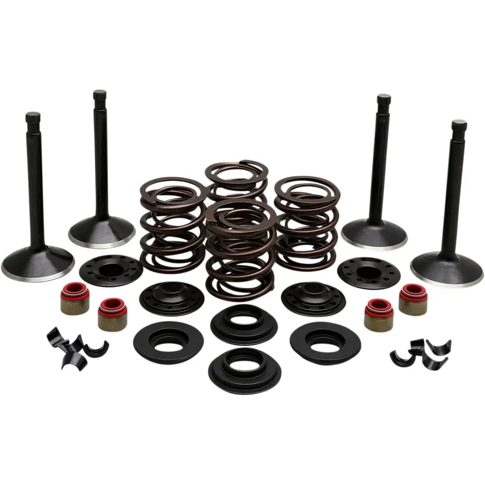 Kit de válvula del motor