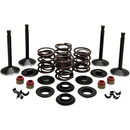 Kit de válvula del motor