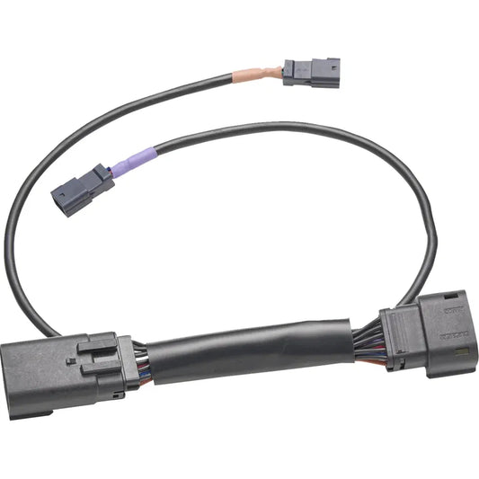Arnés de cables