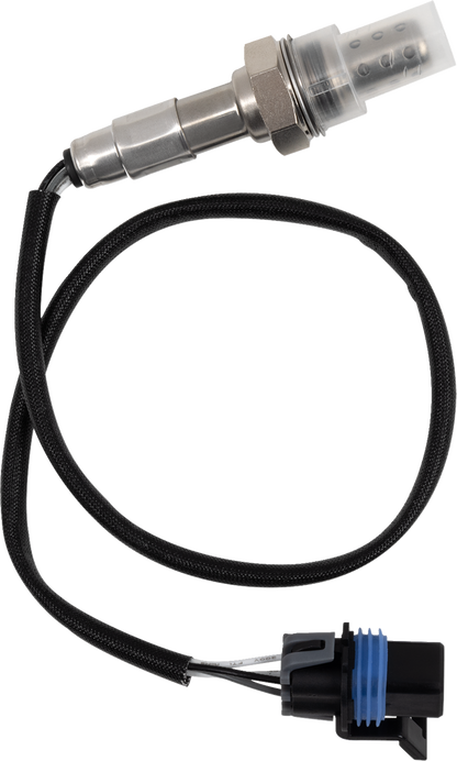 Sensor de O² - Sensor de O² - Polaris