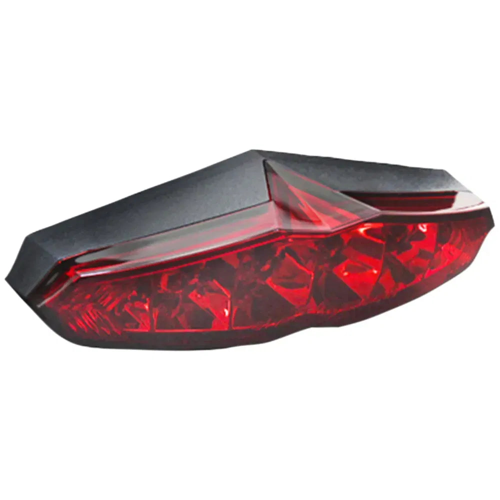 LED Taillight - Red