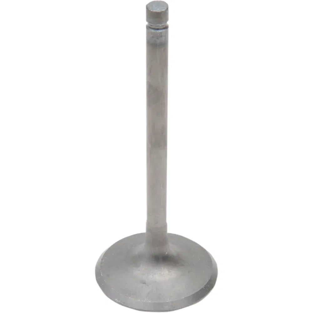 Intake Valve