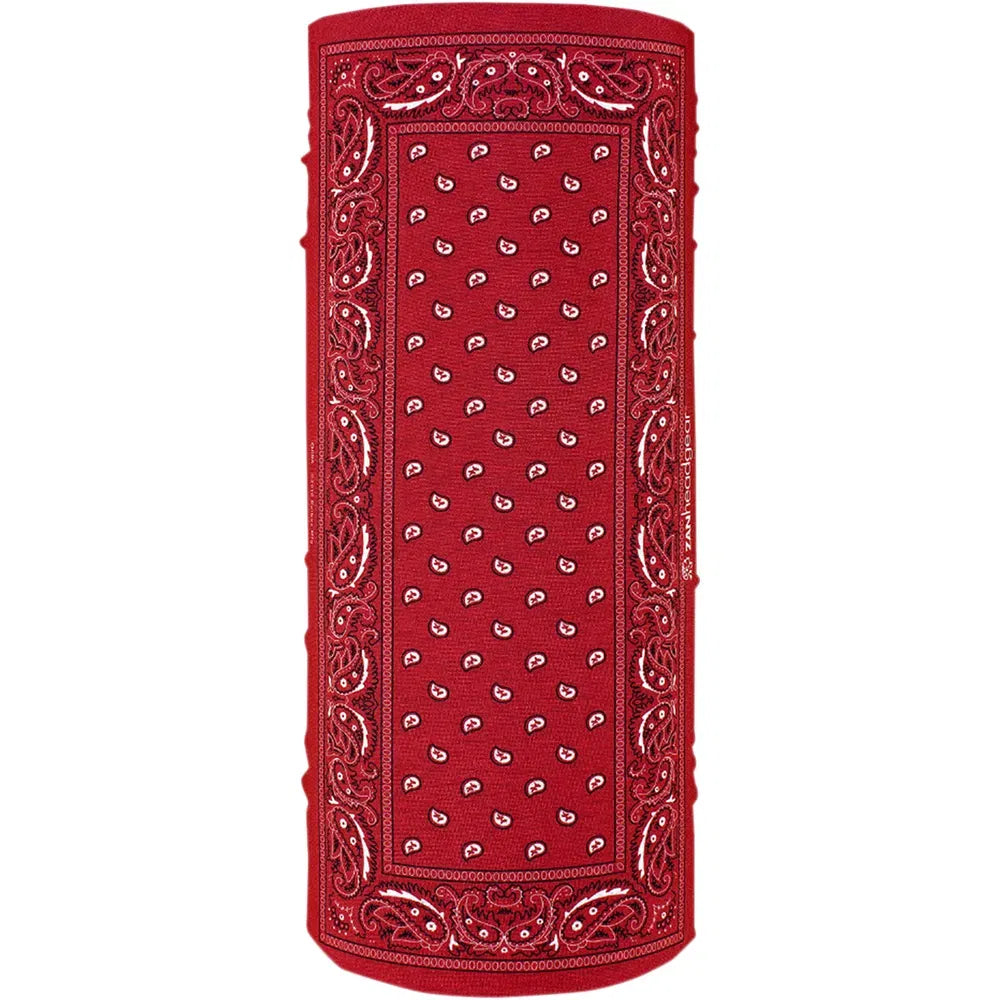 Motley Tube - Red Paisley