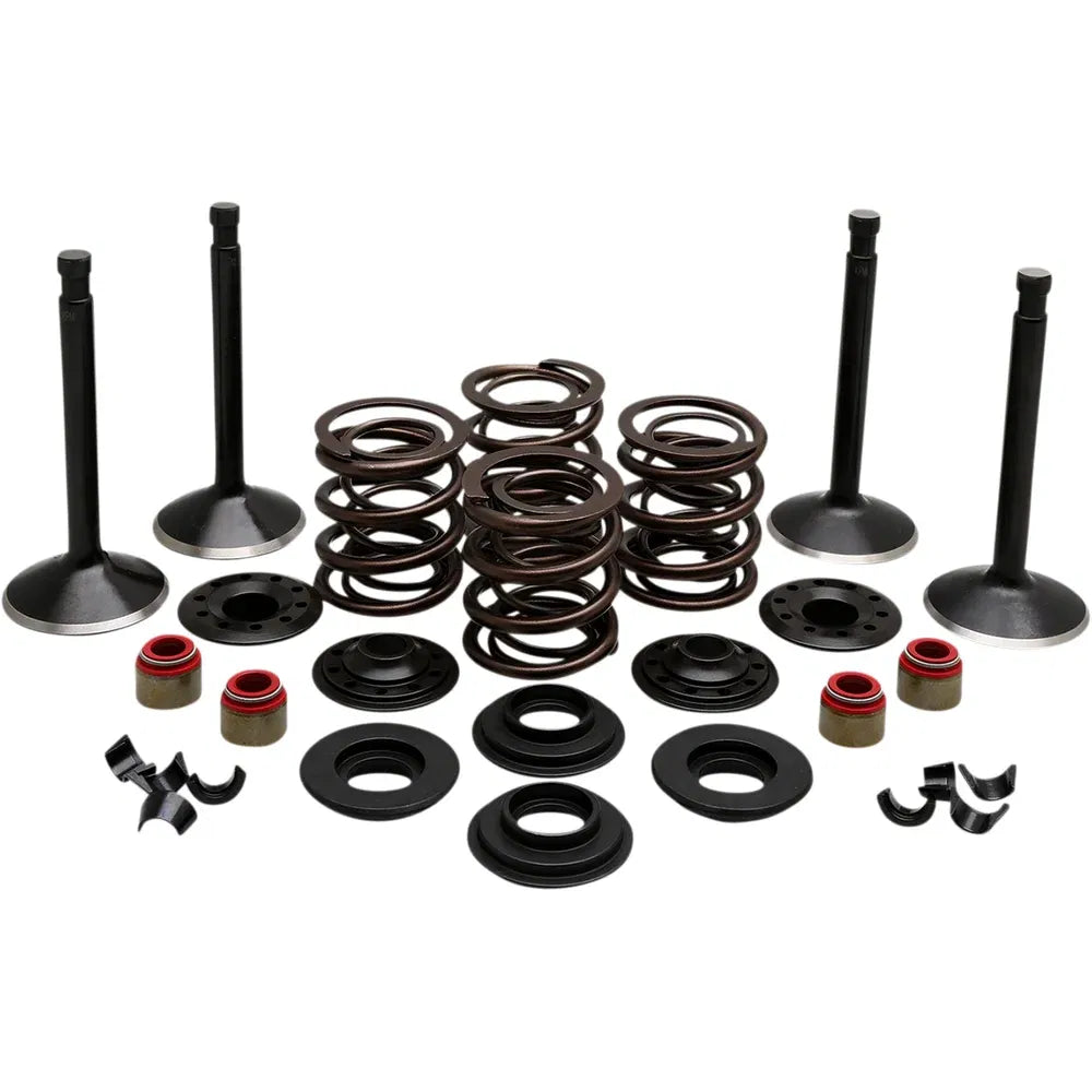 Kit de válvula del motor