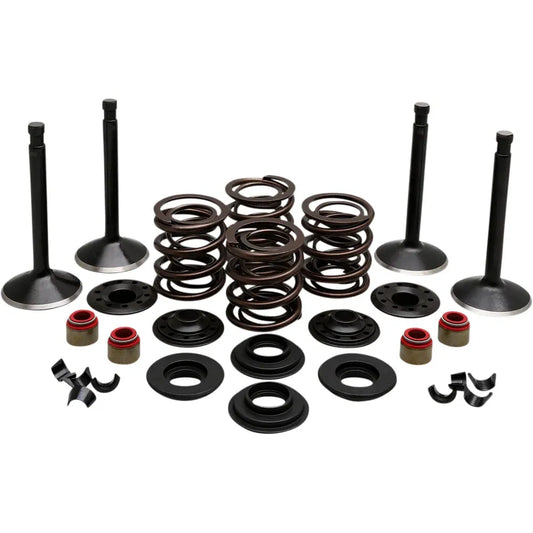 Kit de válvula del motor