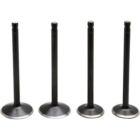 Valve Kit - Evolution/883