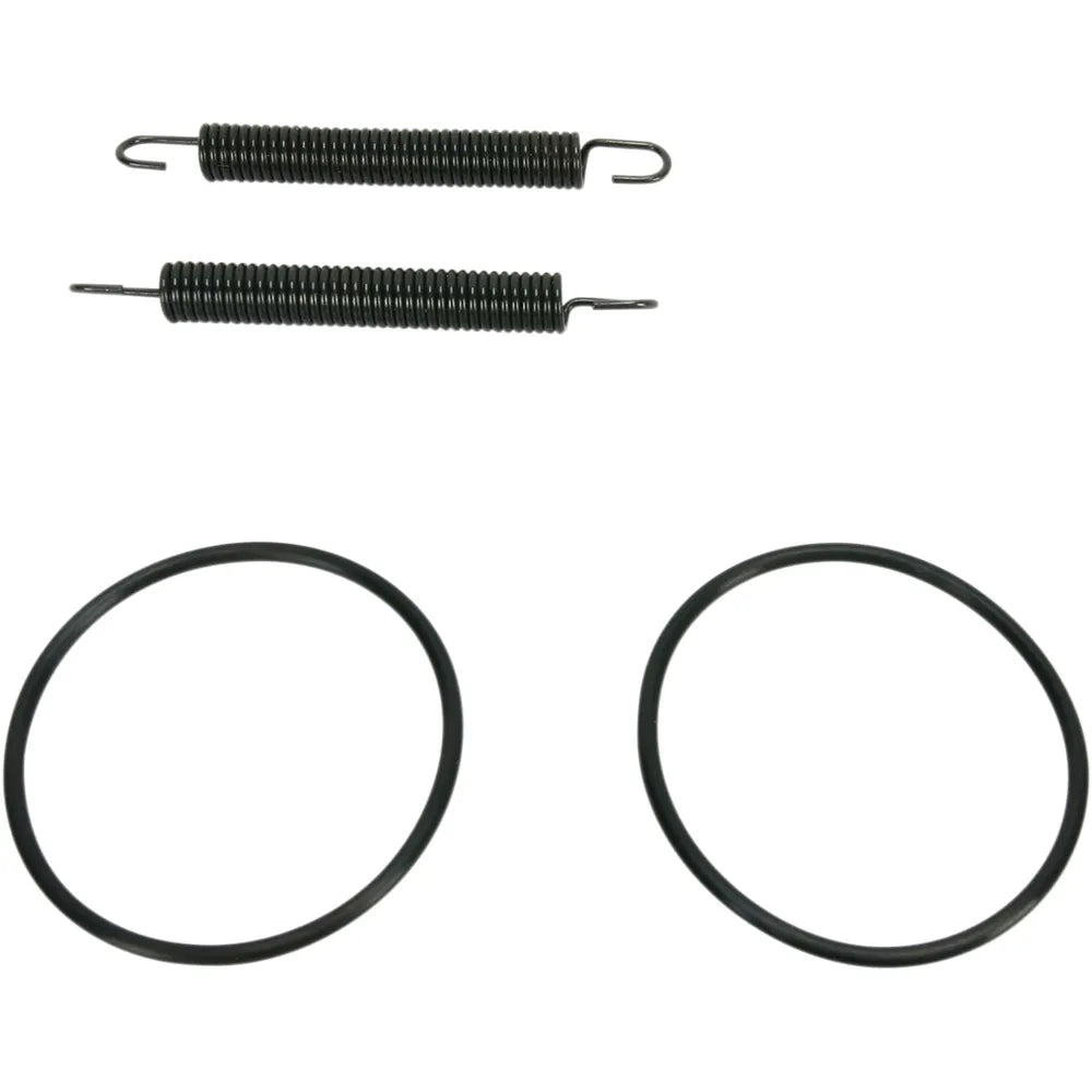 Spring and O-Ring Kit