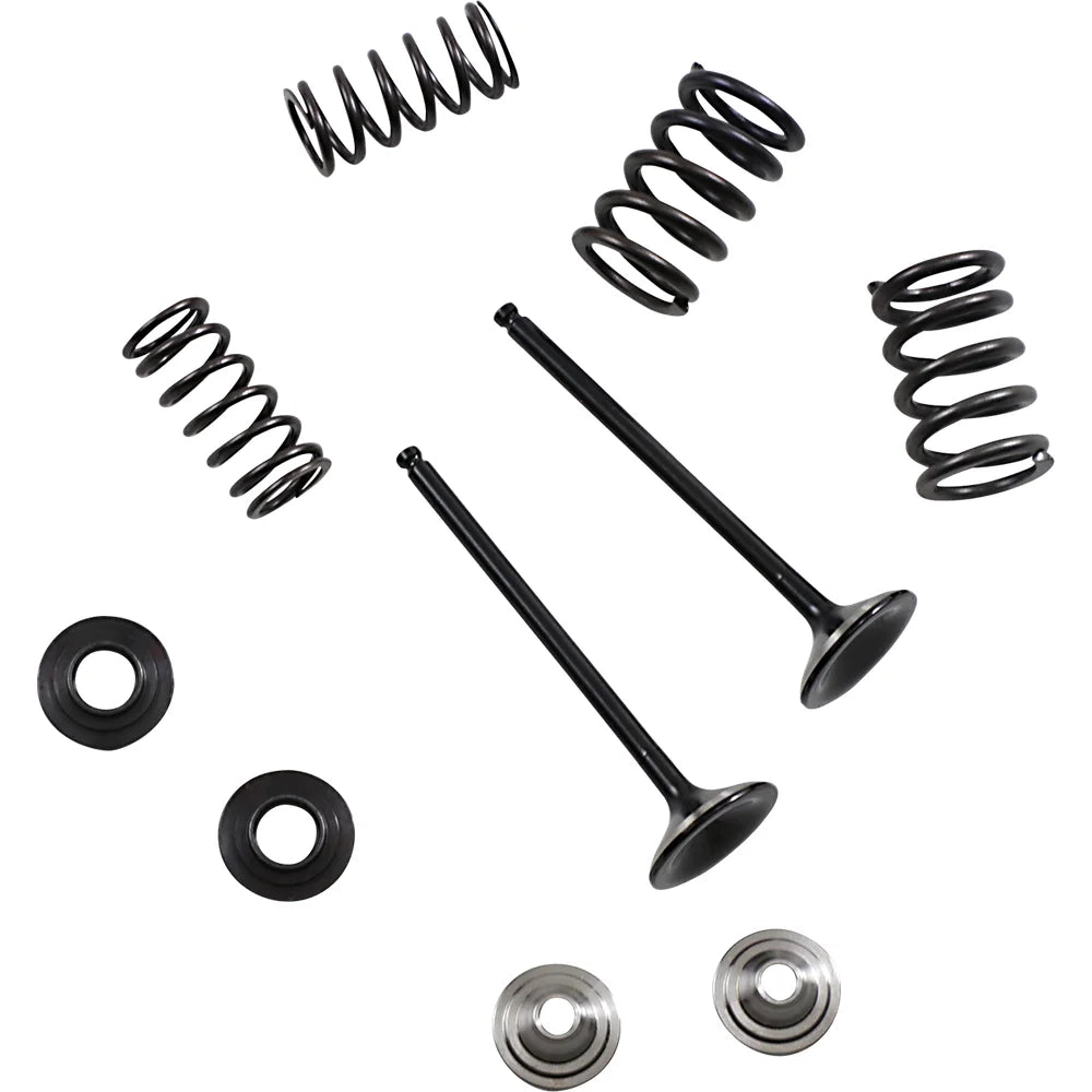 Kit de válvula de escape y resorte