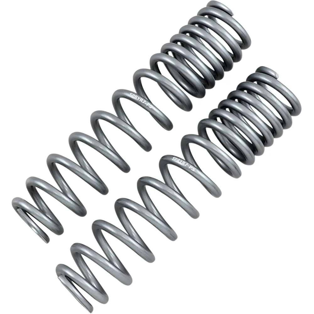 Rear Shock Springs - Silver