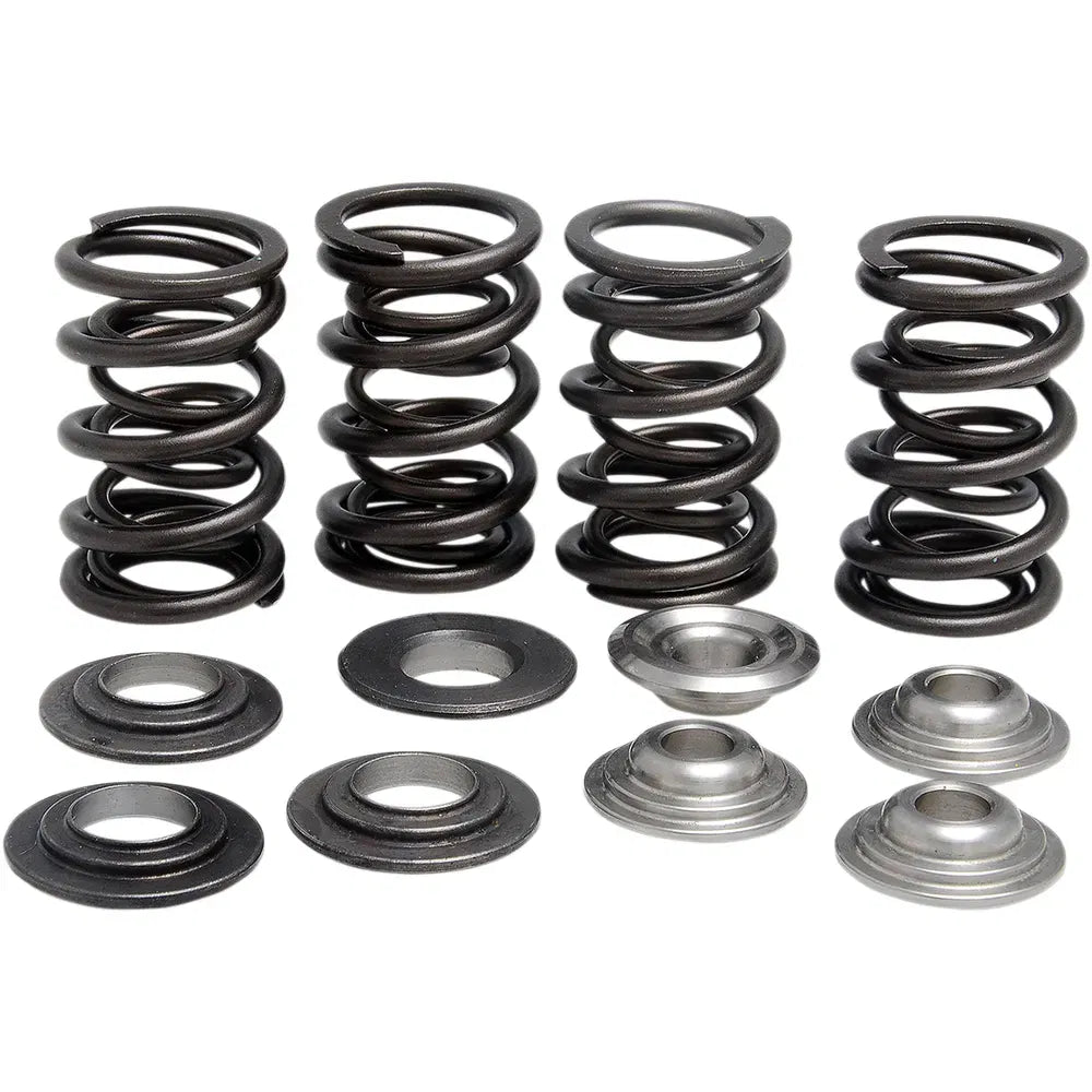 Valve Spring Kit