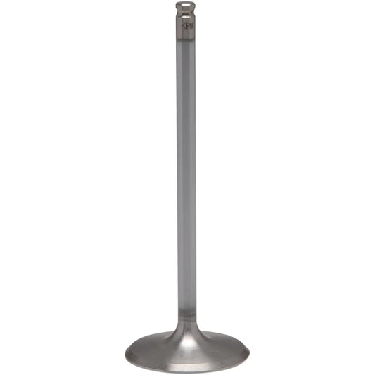 Intake Valve