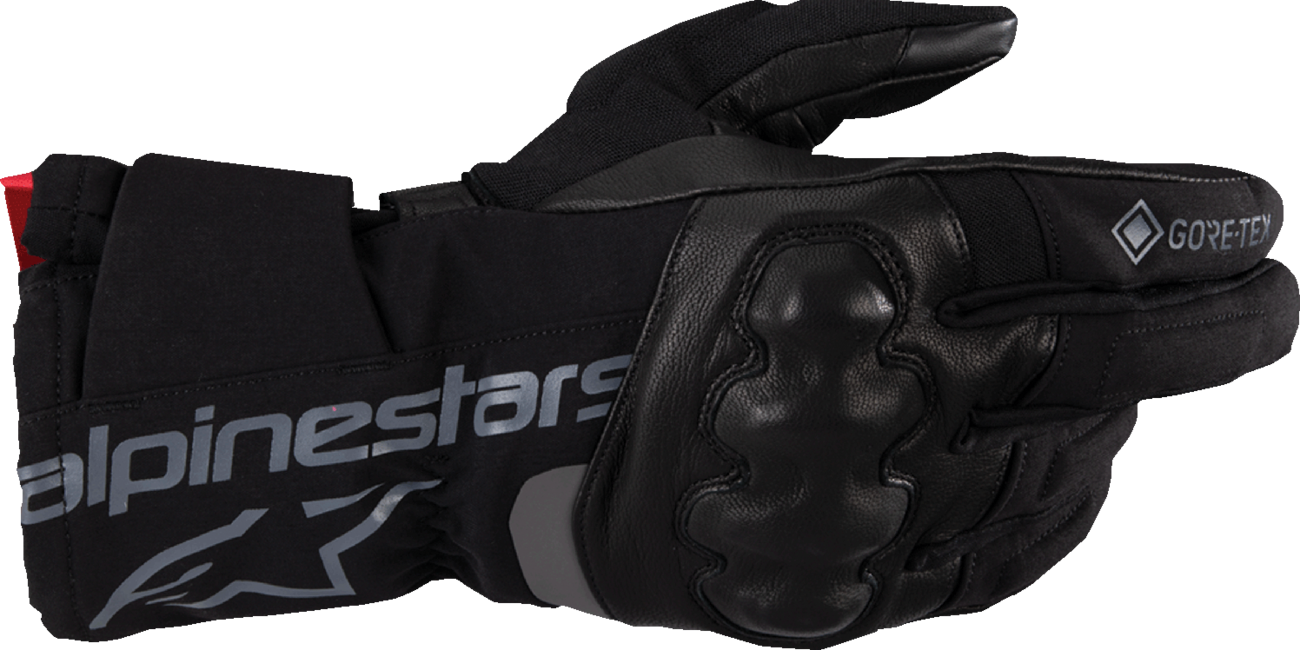 Guantes aislantes WT-4 Gore-Tex