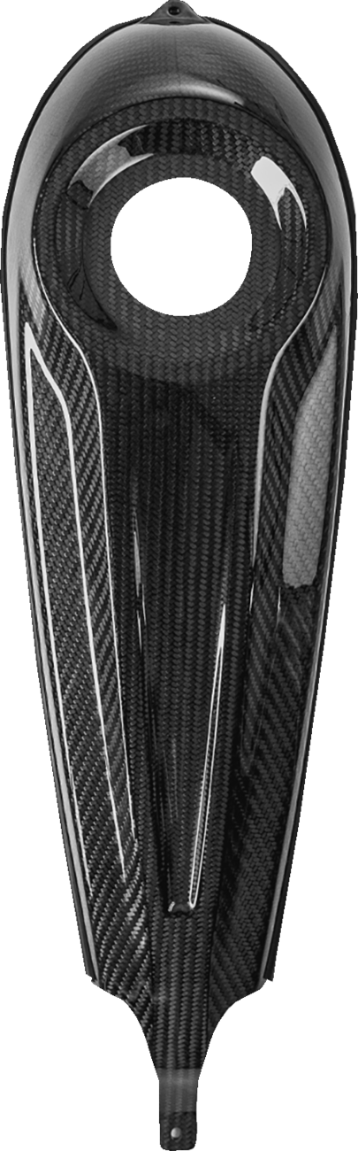 Panel de tablero de fibra de carbono para modelos Touring - Panel de tablero - Relleno central - Fibra de carbono/Brillo
