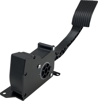 Conjunto del pedal del acelerador