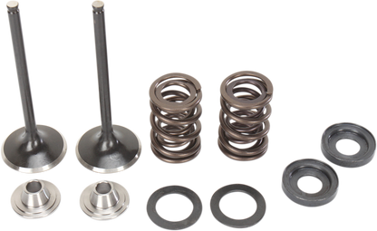 Kit Válvula y Muelle de Escape - Kit Válvula y Muelle - Motor KTM RSF 400 cc - 560 cc