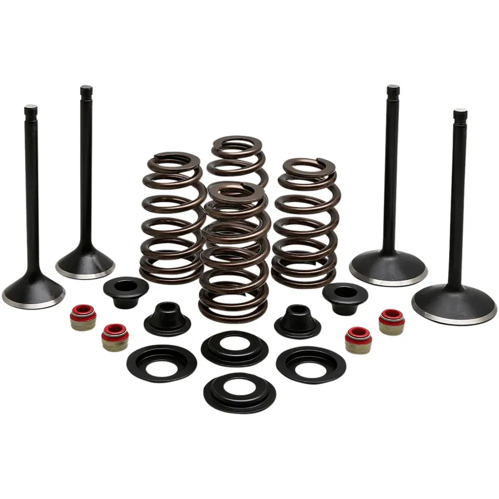 Kit de válvula del motor