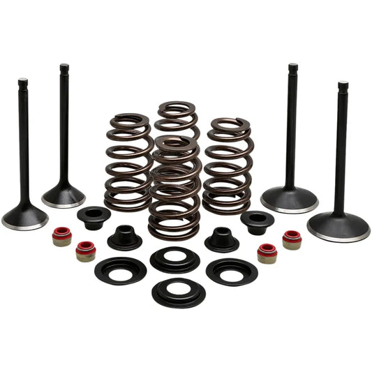 Kit de válvula del motor