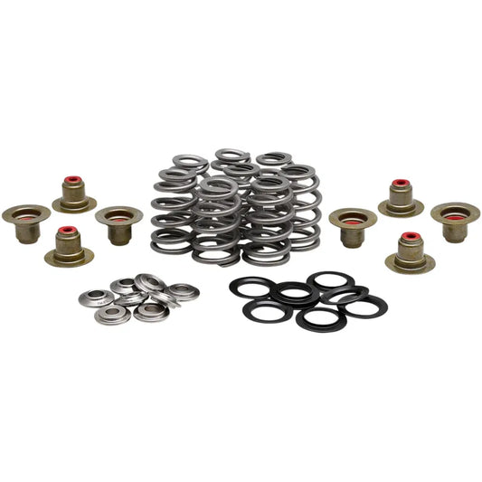 Kit de resorte beehive valve™