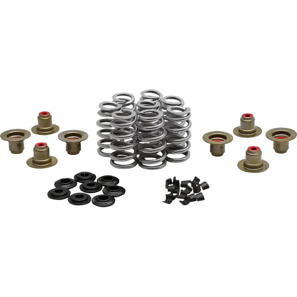 Kit de resorte beehive valve™