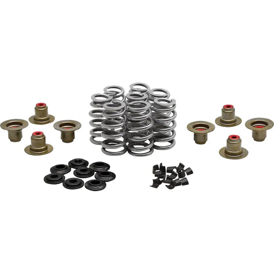 Kit de resorte beehive valve™