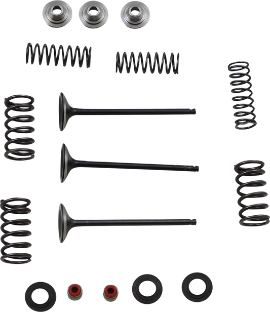 Kit de válvula y resorte de admisión - Kit de válvula y resorte - Yamaha WR250F | YZ250F