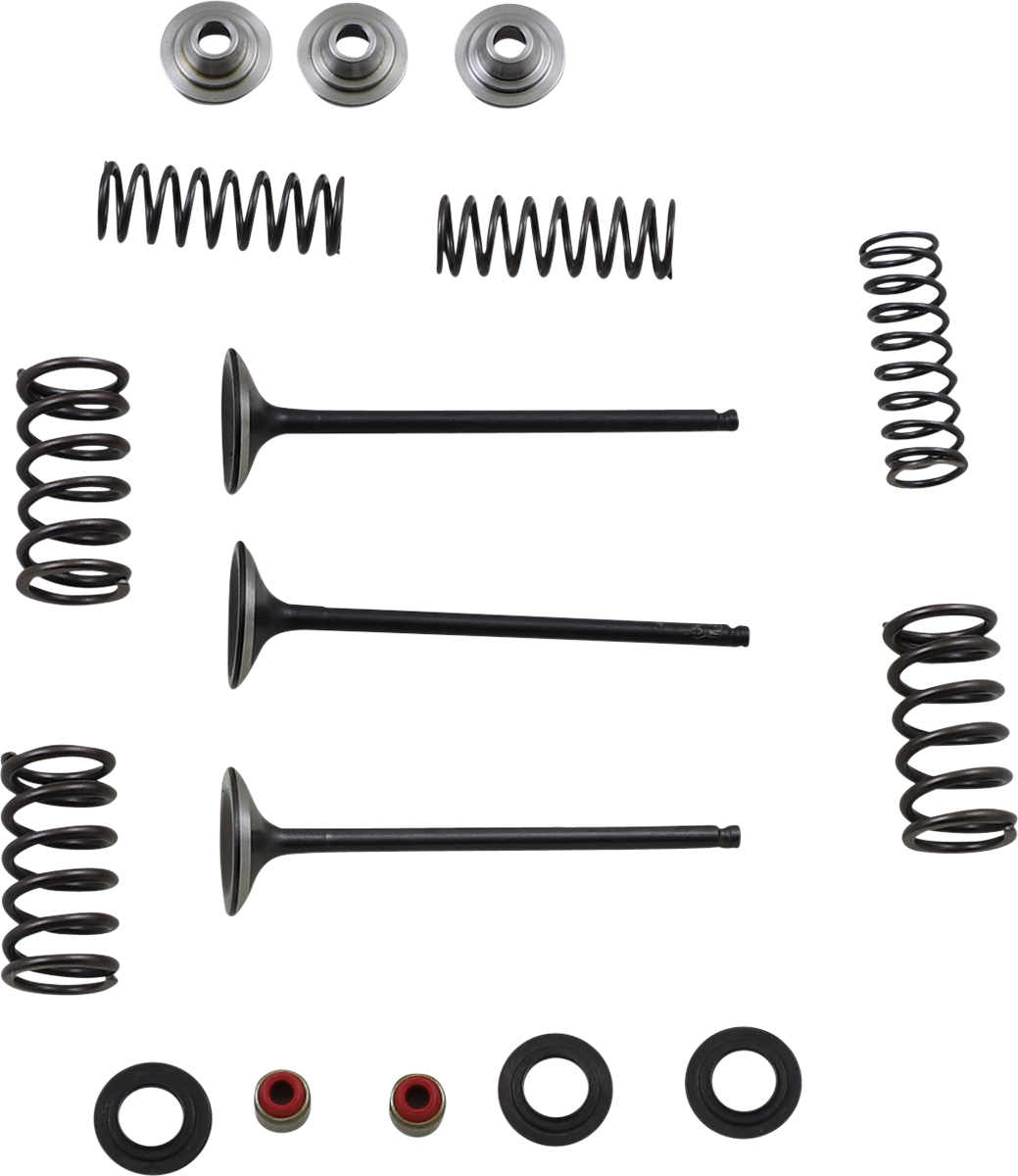 Kit de válvula y resorte de admisión - Kit de válvula y resorte - Yamaha WR250F | YZ250F