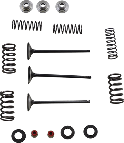 Kit de válvula y resorte de admisión - Kit de válvula y resorte - Yamaha WR250F | YZ250F