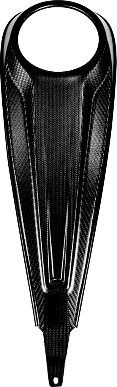 Panel de tablero de fibra de carbono para modelos Touring - Panel de tablero - Relleno central - Fibra de carbono/Brillo