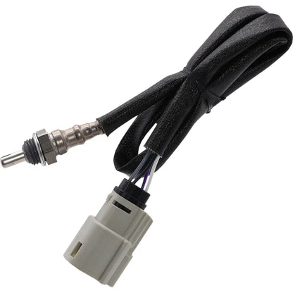 Sensor de oxígeno