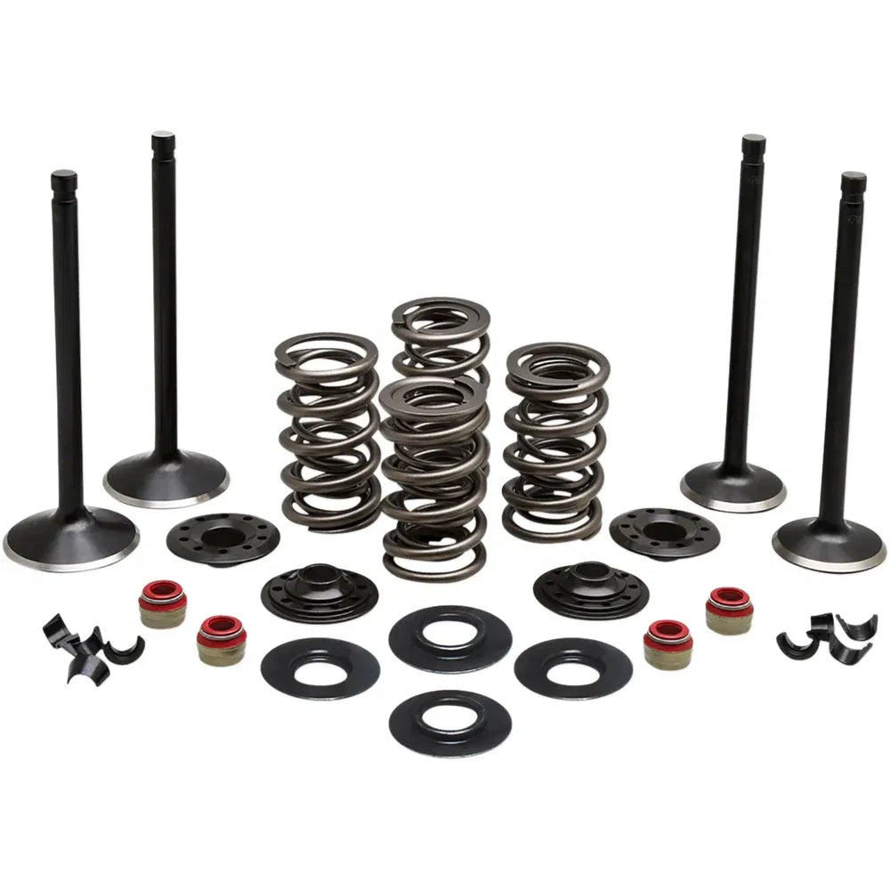 Kit de válvula del motor