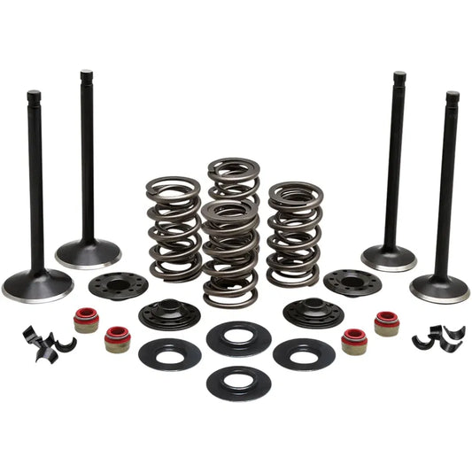 Kit de válvula del motor