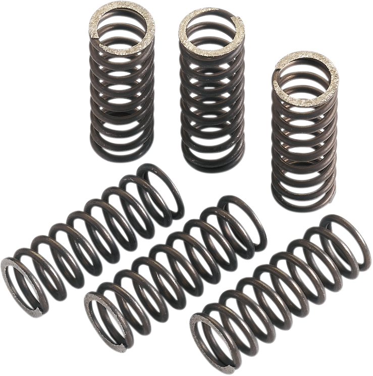 Juego de muelles de Clutch - Muelles de Clutch - TRX/CRF 450