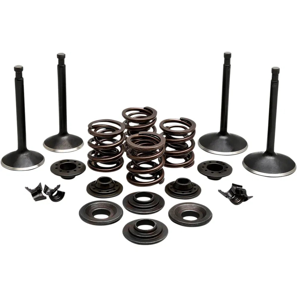 Kit de válvula del motor