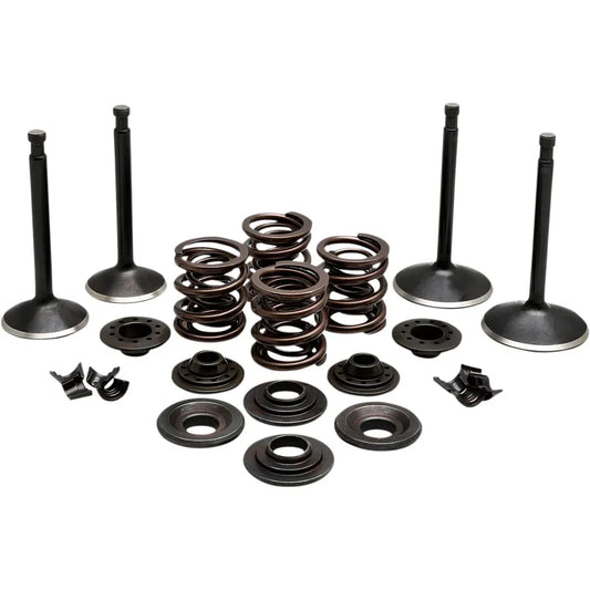 Kit de válvula del motor